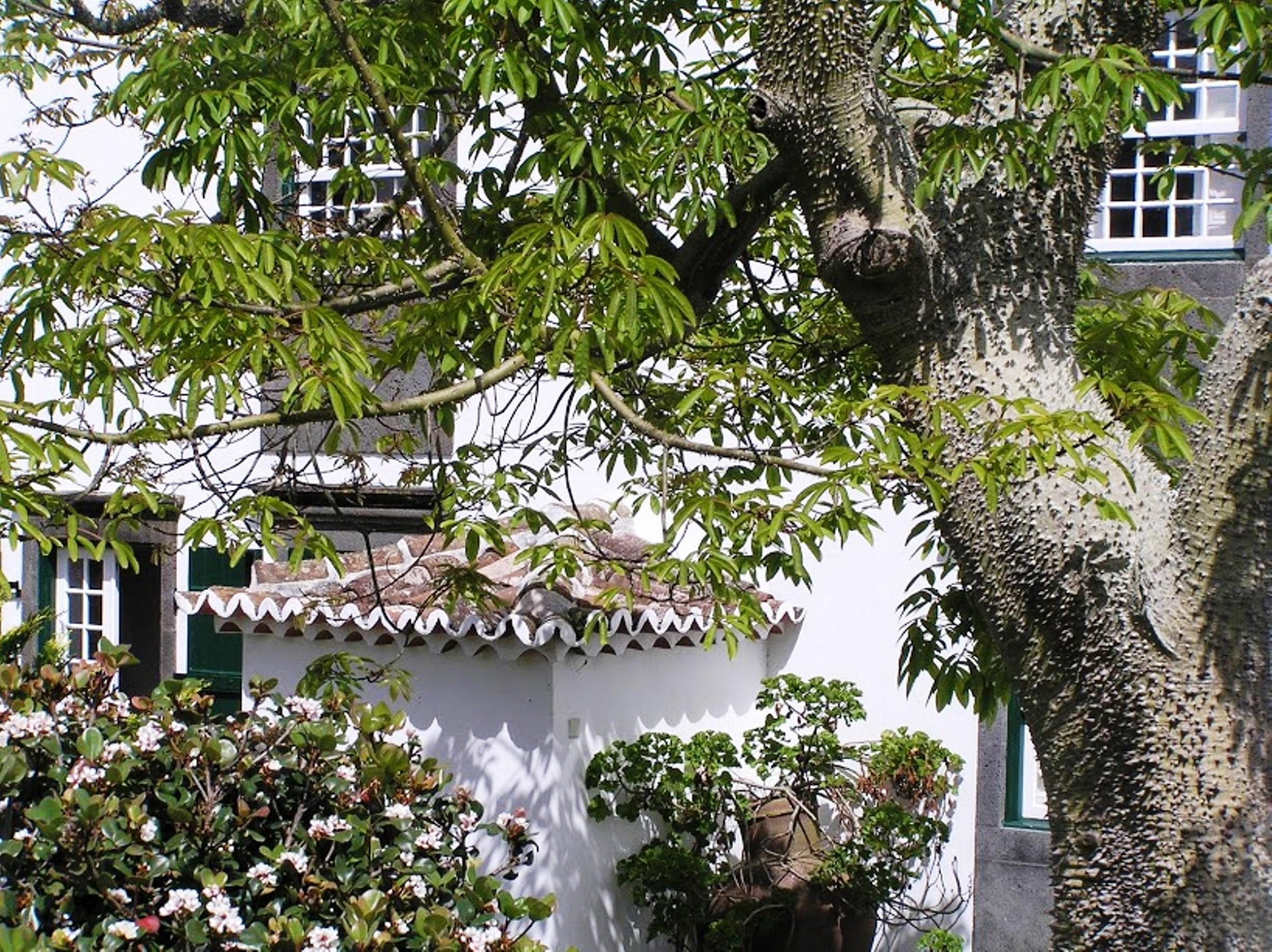 Casa Das Calhetas - Turismo De Habitacao Exteriör bild